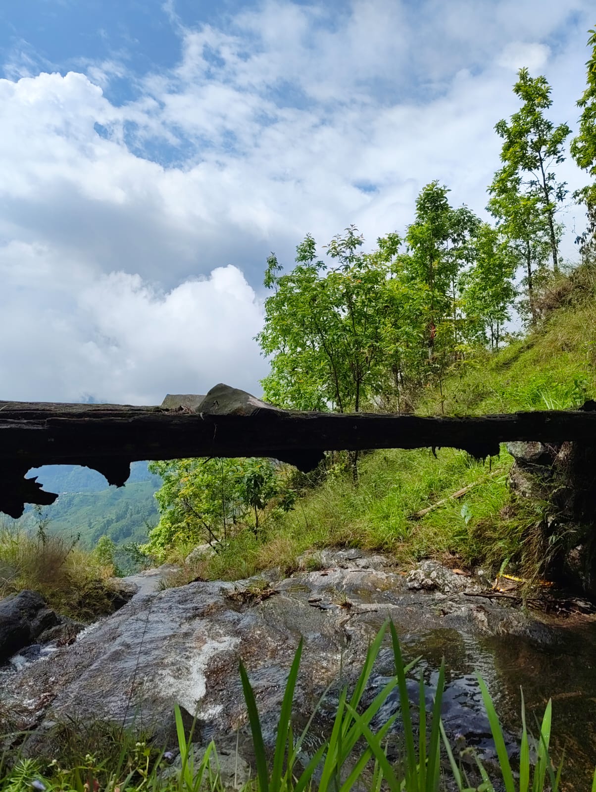 Stream on the waterfall trek