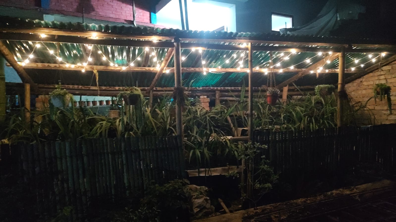 Fairy-lit garden shed at night